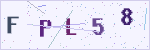 보안문자